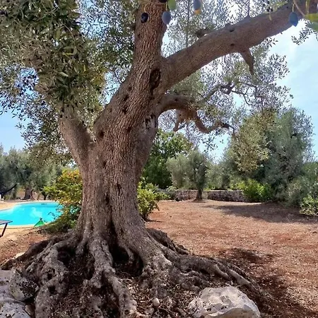 Il Trullo Di Mya. Trullo Con Piscina Privata