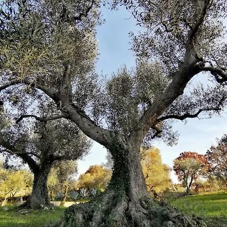 Il Trullo Di Mya. Trullo Con Piscina Privata * Ceglie Messapica